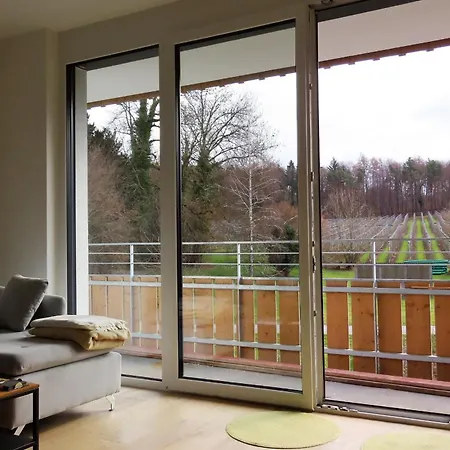 Mariahof Mariahof 2 Apartmán Uhldingen-Mühlhofen